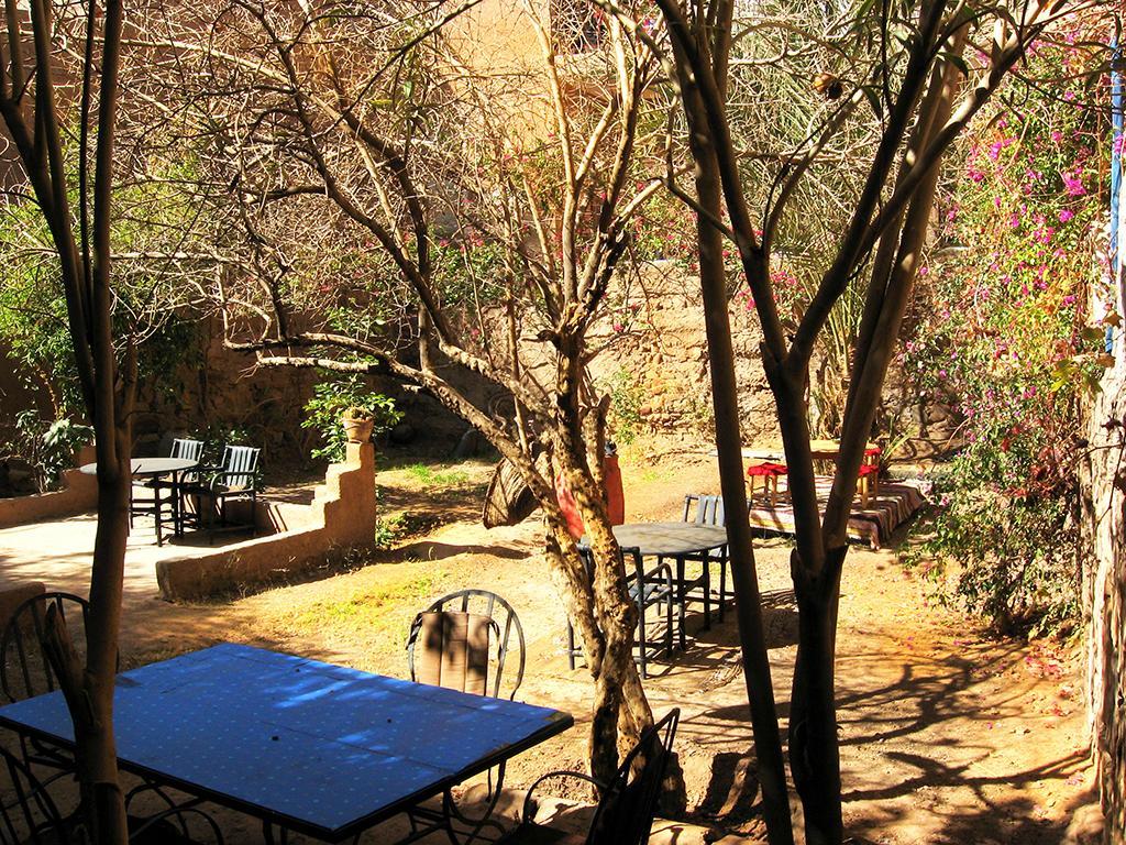 Riad Dar Zaouia Zagora Oda fotoğraf